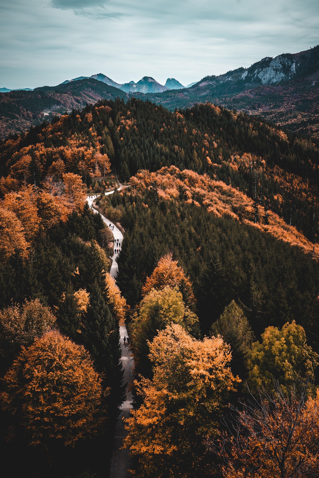 leonhard_niederwimmer-path-8357155_1920